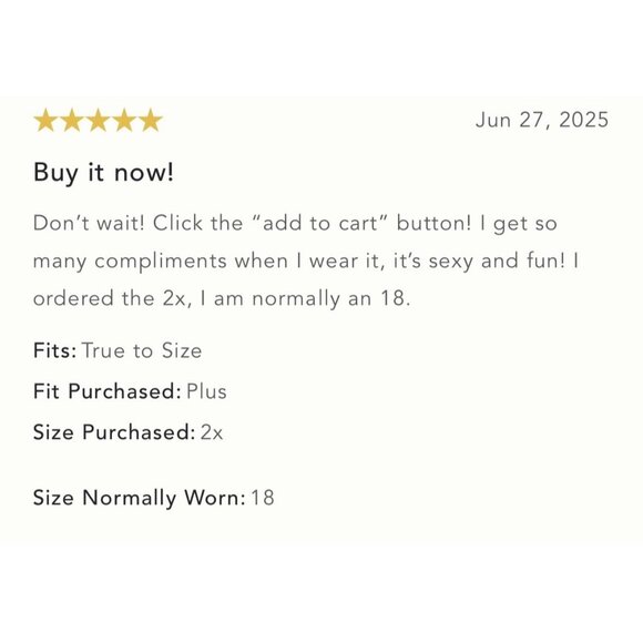 NWT Size 2X - AFRM Long-Sleeve Off-The-Shoulder Mesh Maxi Dress (NWT US$128) - Picture 9 of 14